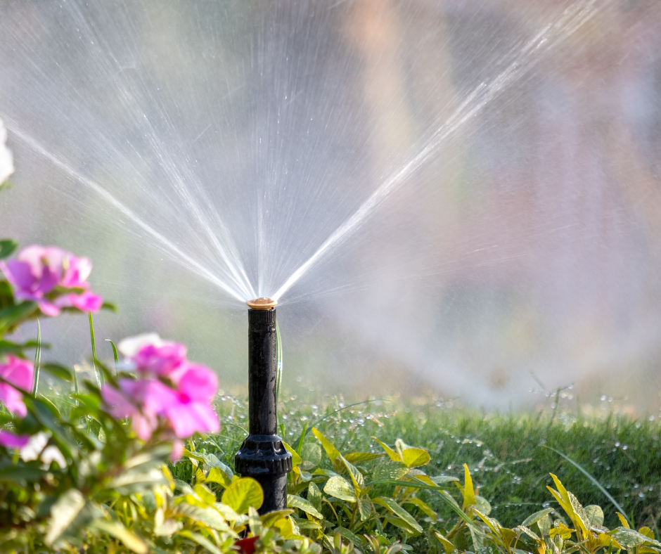 Read more about the article Watering Smarter, Not Harder: Fixing the Most Common Irrigation Mistakes
